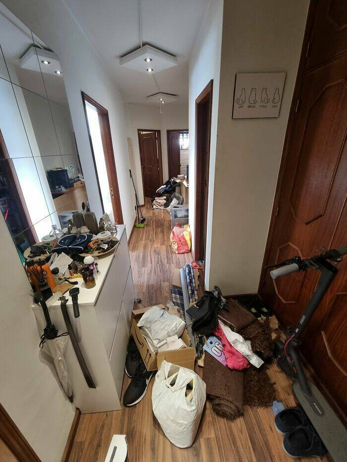 Hidden Cats You’ll Have To Look Twice To Find