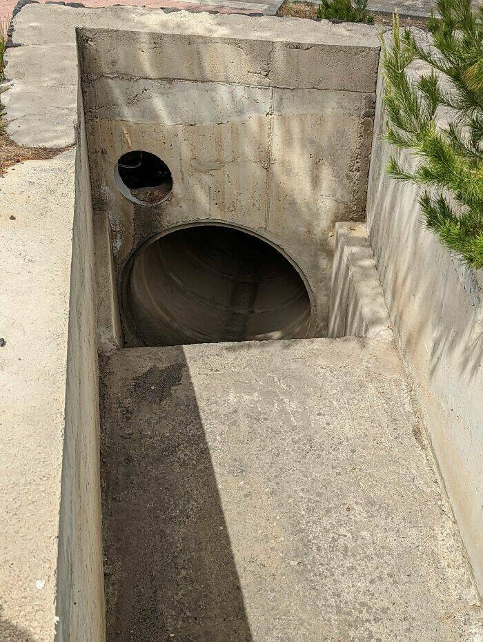 Hidden Cats You’ll Have To Look Twice To Find