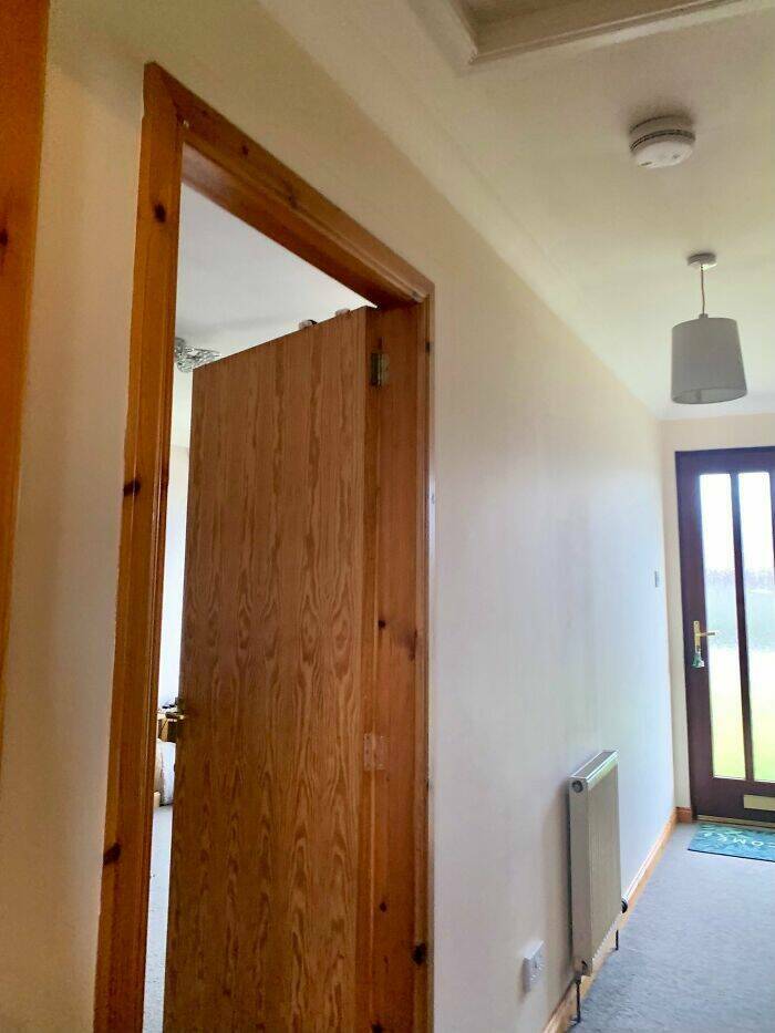 Hidden Cats You’ll Have To Look Twice To Find