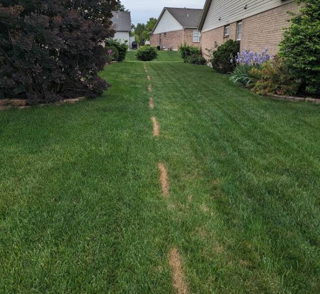 Hilarious Yet Annoying Neighbor Moments That Will Test Your Patience