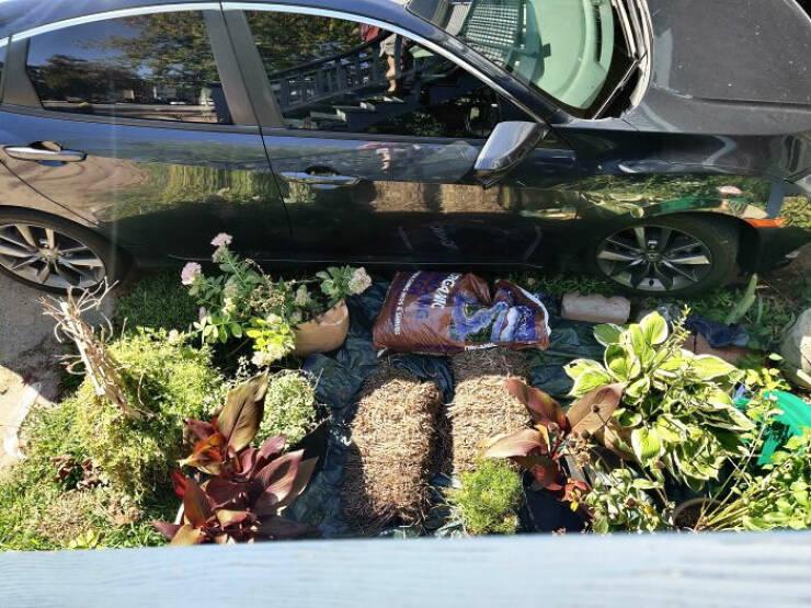 Hilarious Yet Annoying Neighbor Moments That Will Test Your Patience