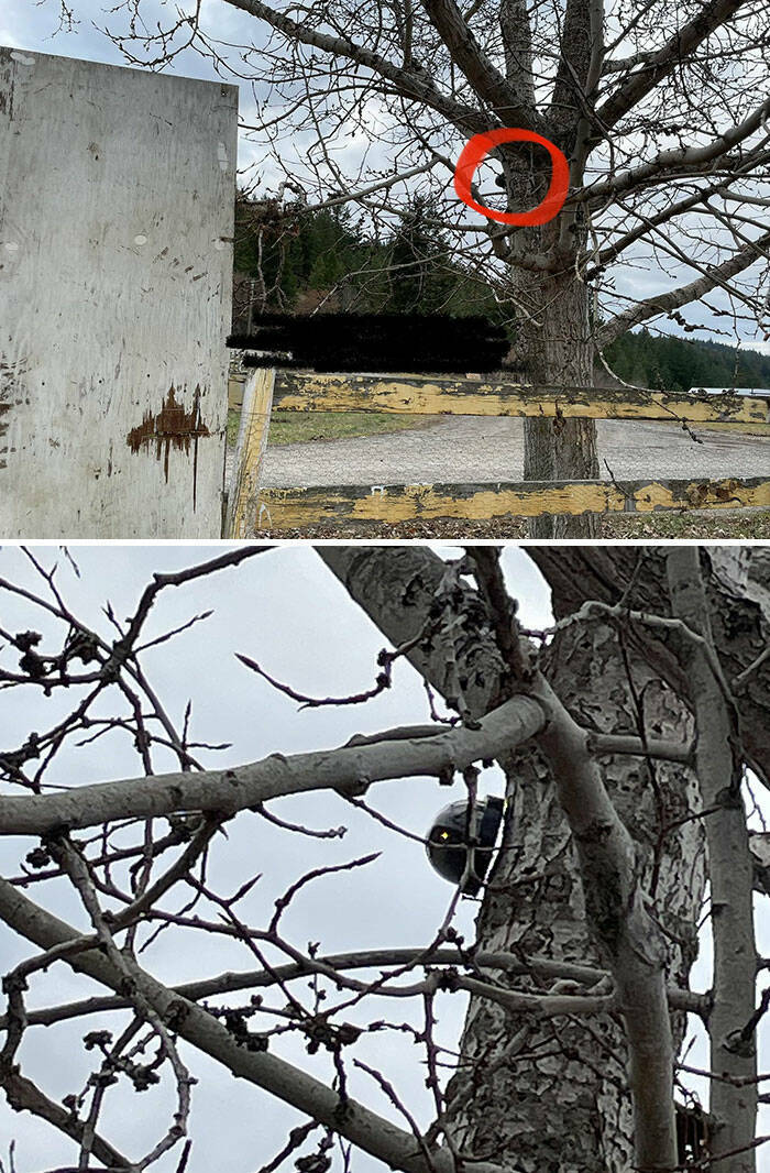 Hilarious Yet Annoying Neighbor Moments That Will Test Your Patience