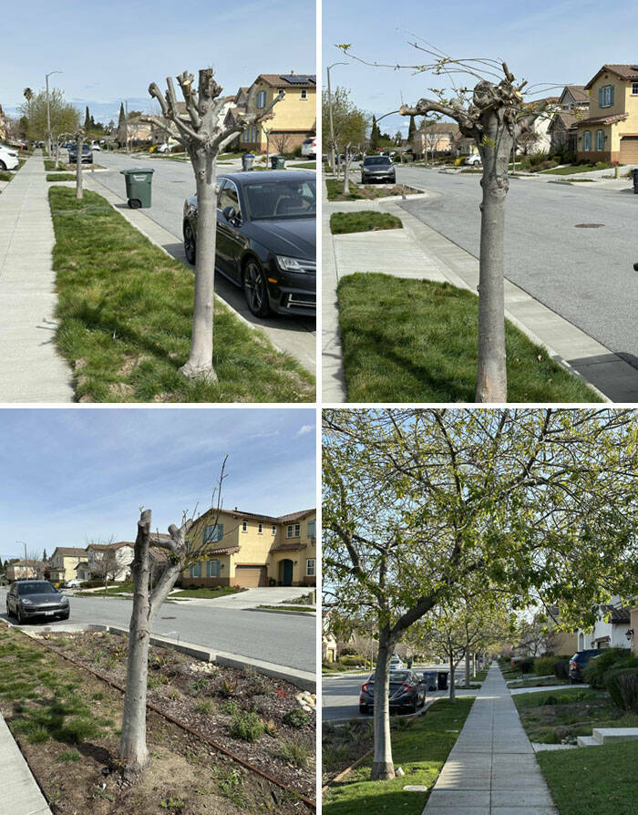 Hilarious Yet Annoying Neighbor Moments That Will Test Your Patience