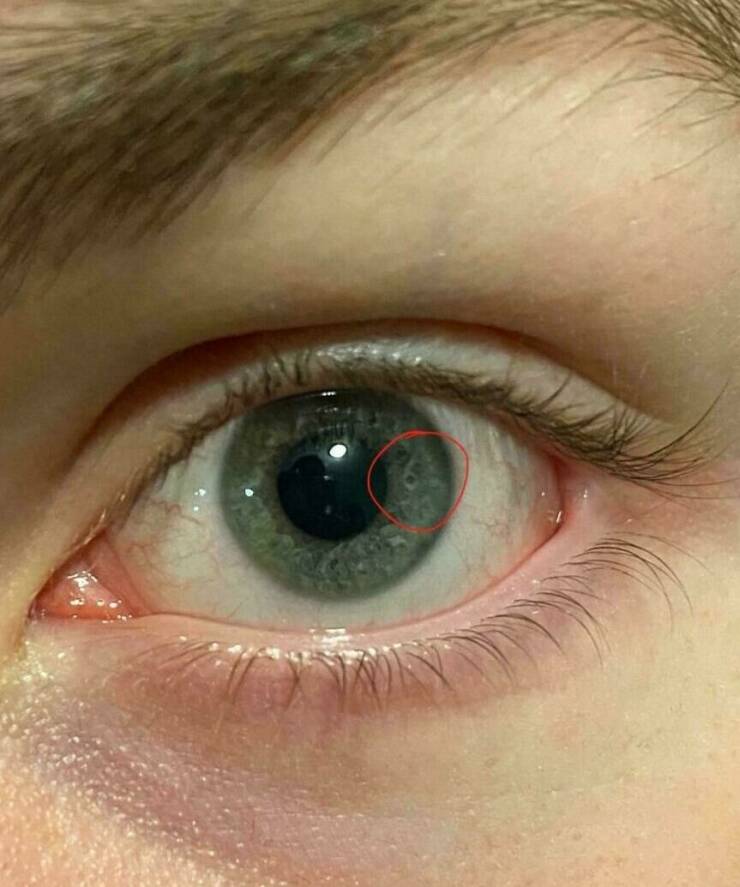 Strange And Odd Photos You Won’t Be Able To Unsee