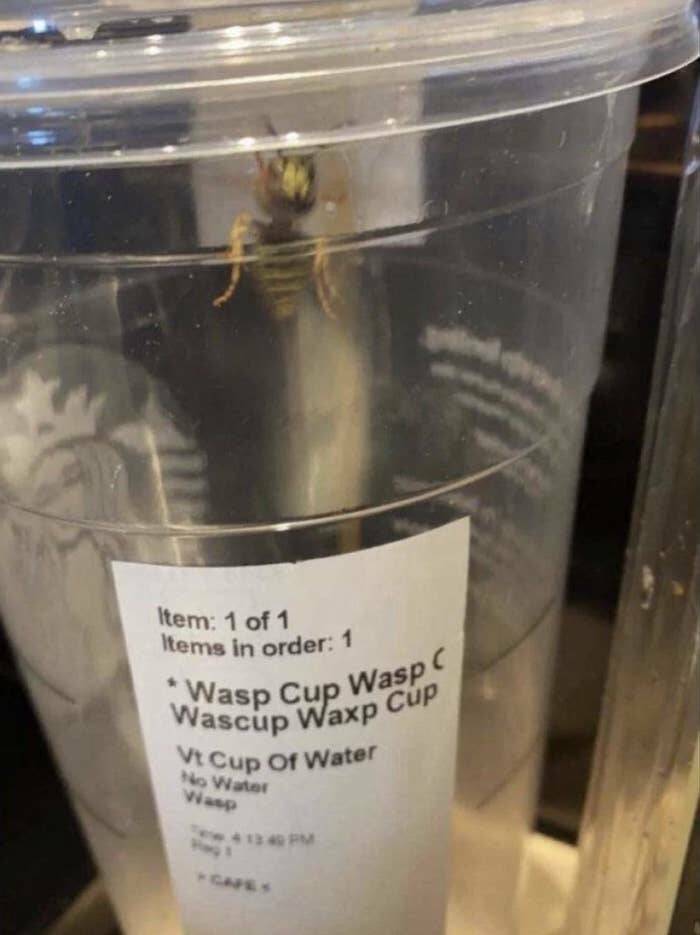 Endlessly Funny Pics That Will Always Leave You In Stitches Endlessly Funny Pics That Will Always Leave You In Stitches