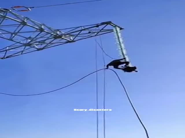 One Of The Most Dangerous Jobs In The World