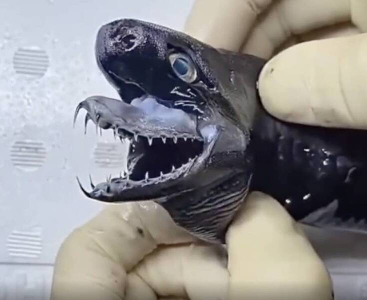 Creepy And Disturbing Photos You Won’t Want To Look At Twice Creepy And Disturbing Photos You Won’t Want To Look At Twice