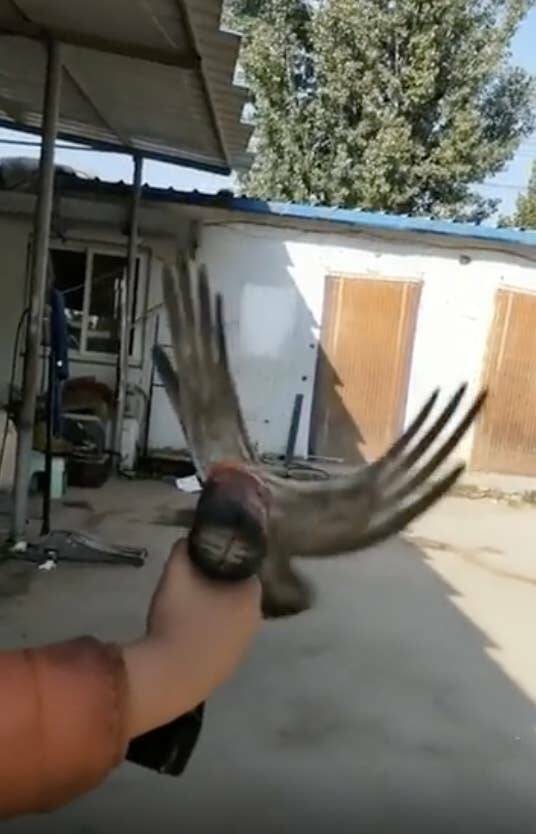 Creepy And Disturbing Photos You Won’t Want To Look At Twice Creepy And Disturbing Photos You Won’t Want To Look At Twice