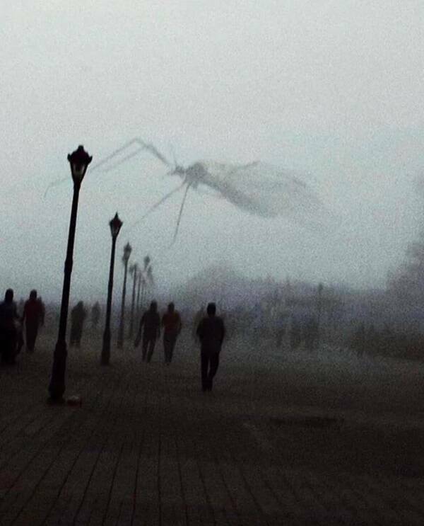 Creepy And Disturbing Photos You Won’t Want To Look At Twice Creepy And Disturbing Photos You Won’t Want To Look At Twice