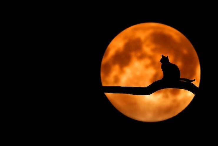 Mind-Blowing Moon Facts That Will Leave You Starstruck