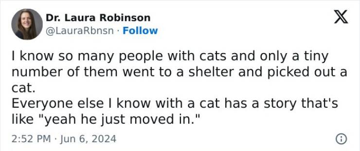 Purrfectly Hilarious Cat Memes For Every Feline Fan
