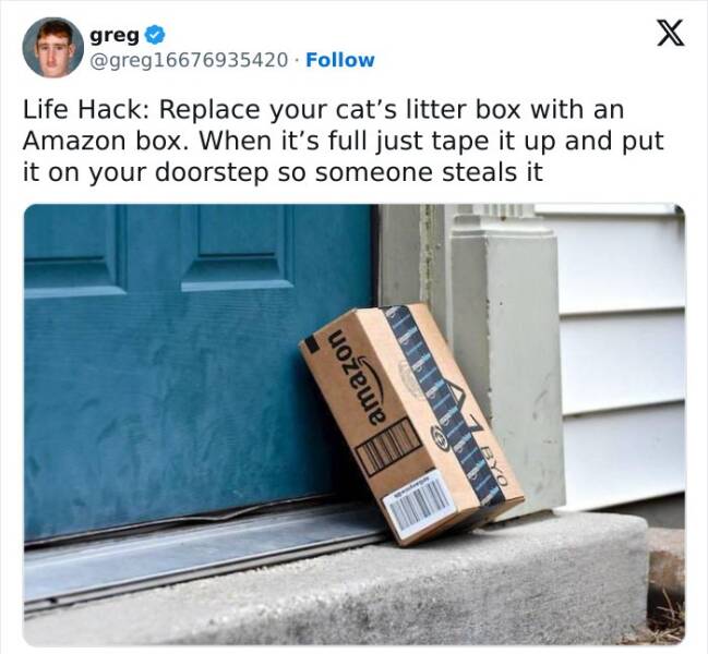 Purrfectly Hilarious Cat Memes For Every Feline Fan