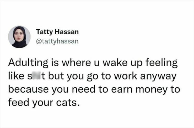 Purrfectly Hilarious Cat Memes For Every Feline Fan
