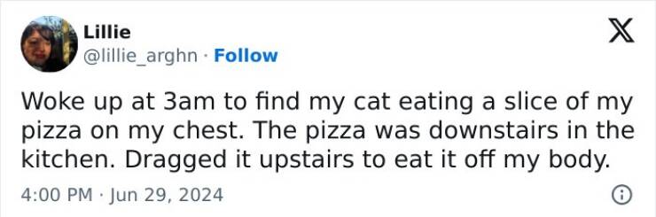 Purrfectly Hilarious Cat Memes For Every Feline Fan