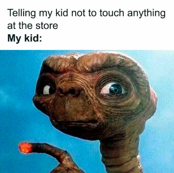 The Funniest Memes About Raising Kids