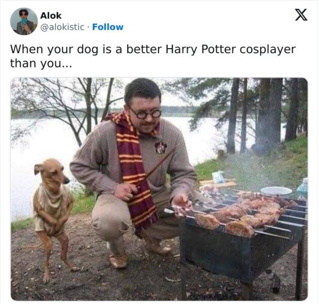 Harry Potter Memes Every Fan Will Relate To