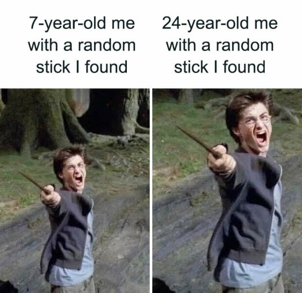 Harry Potter Memes Every Fan Will Relate To