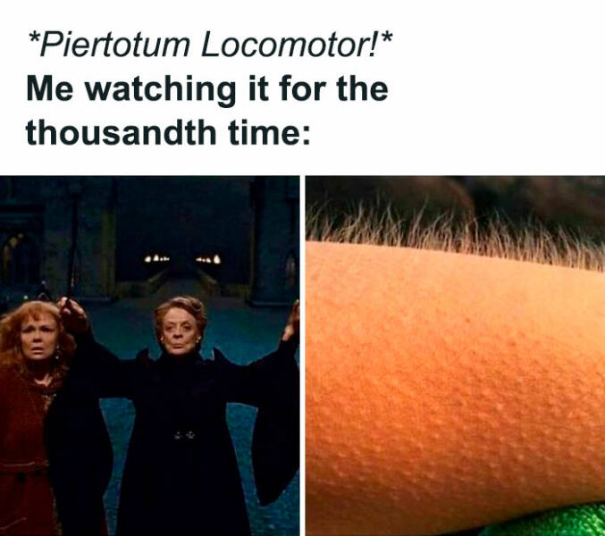 Harry Potter Memes Every Fan Will Relate To