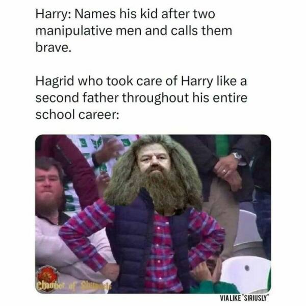 Harry Potter Memes Every Fan Will Relate To