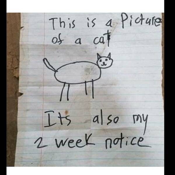 Hilarious Work Memes To Get You Through The Daily Grind