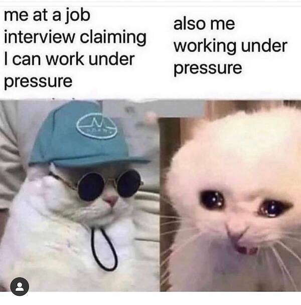 Hilarious Work Memes To Get You Through The Daily Grind