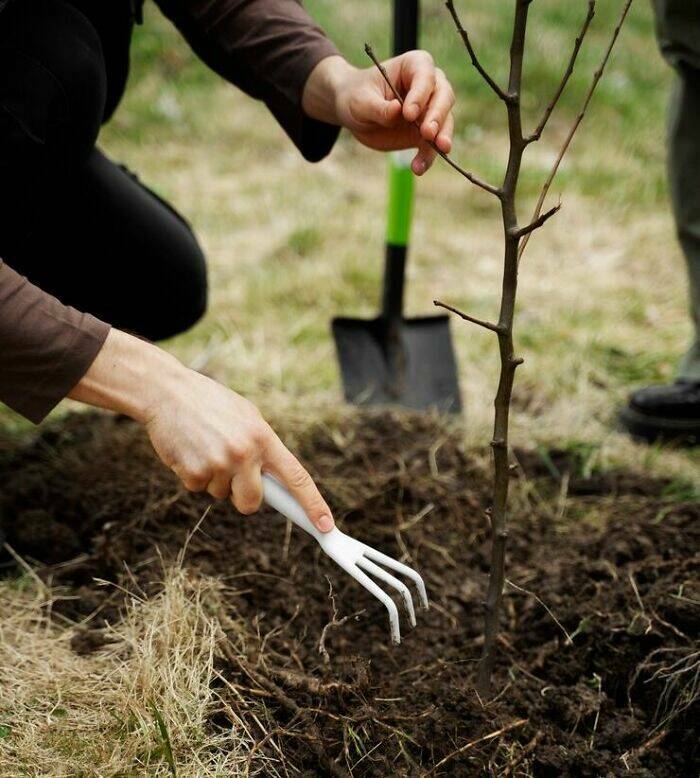 Mind-Blowing Facts That Seem Too Crazy To Be Real