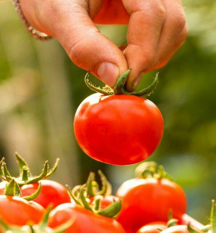 Mind-Blowing Facts That Seem Too Crazy To Be Real