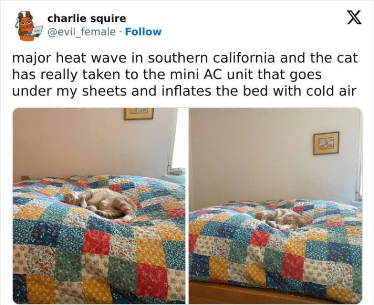 Wholesome Tweets Guaranteed To Brighten Your Day