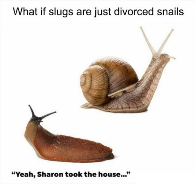 Don’t Laugh If You Don’t Wanna Lose!