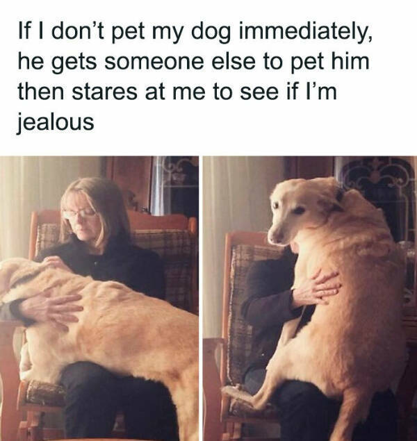 Don’t Laugh If You Don’t Wanna Lose!