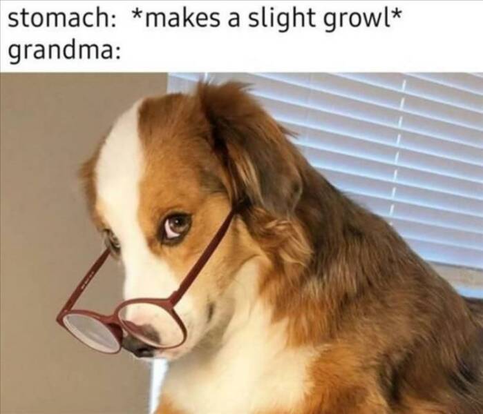 Funny Picdump Funny Picdump