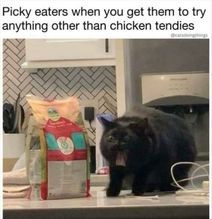 Funny Picdump