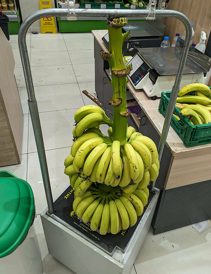Genius Retail Ideas That Should Be Everywhere