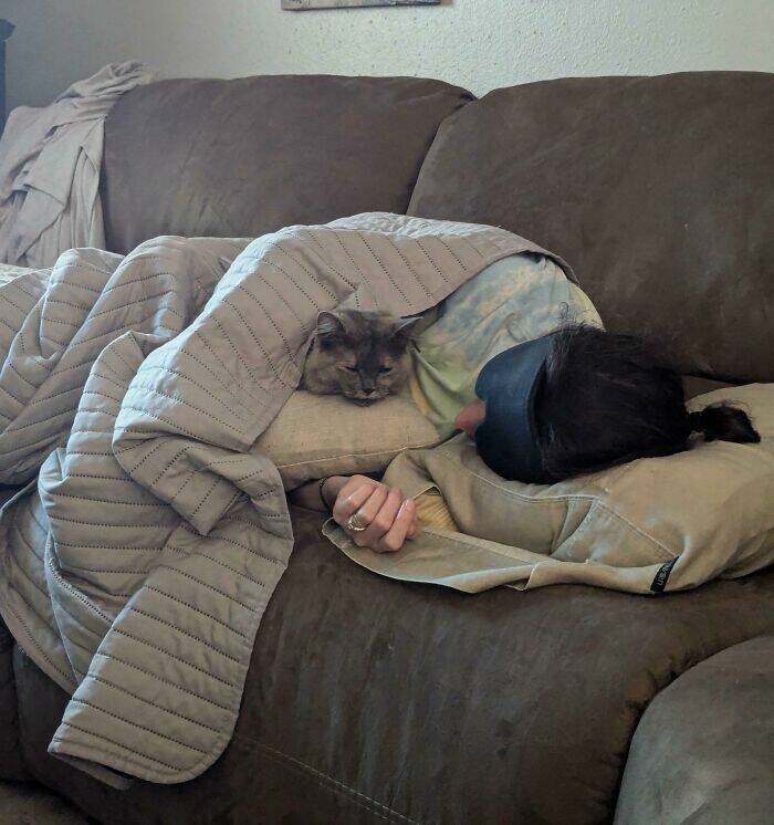Heartwarming Photos Of Rescued Pets Finding Their Forever Homes