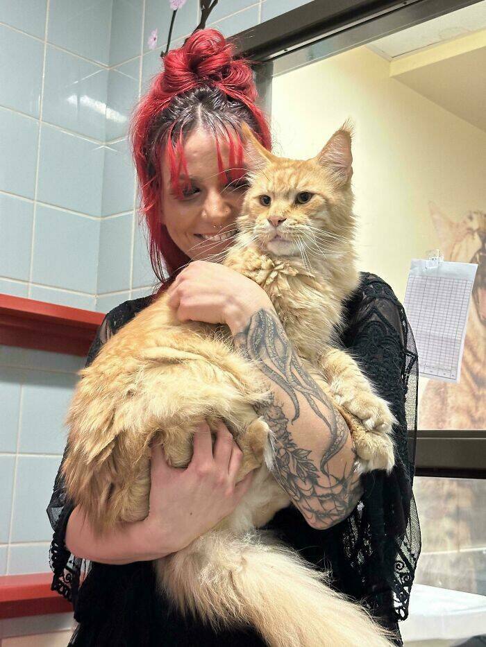 Heartwarming Photos Of Rescued Pets Finding Their Forever Homes