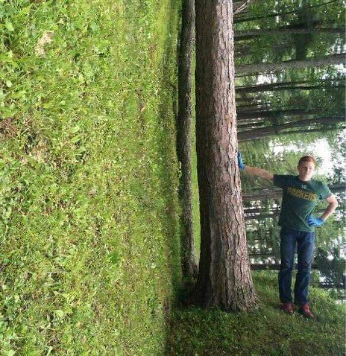 Randomly Funny Pics That Will Make You Forget Your To-Do List Randomly Funny Pics That Will Make You Forget Your To-Do List