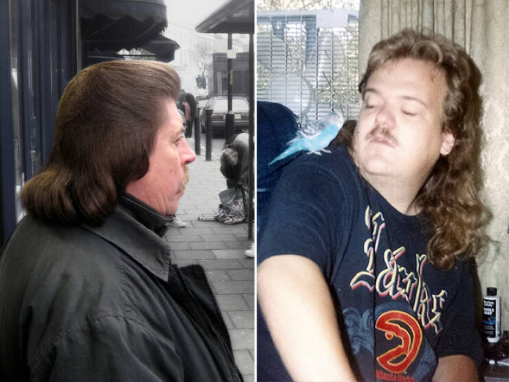 The 2025 World’s Best Mullets Calendar Has Arrived! The 2025 World’s Best Mullets Calendar Has Arrived!