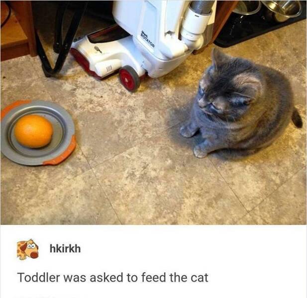 When Attempts Didnt Go As Planned