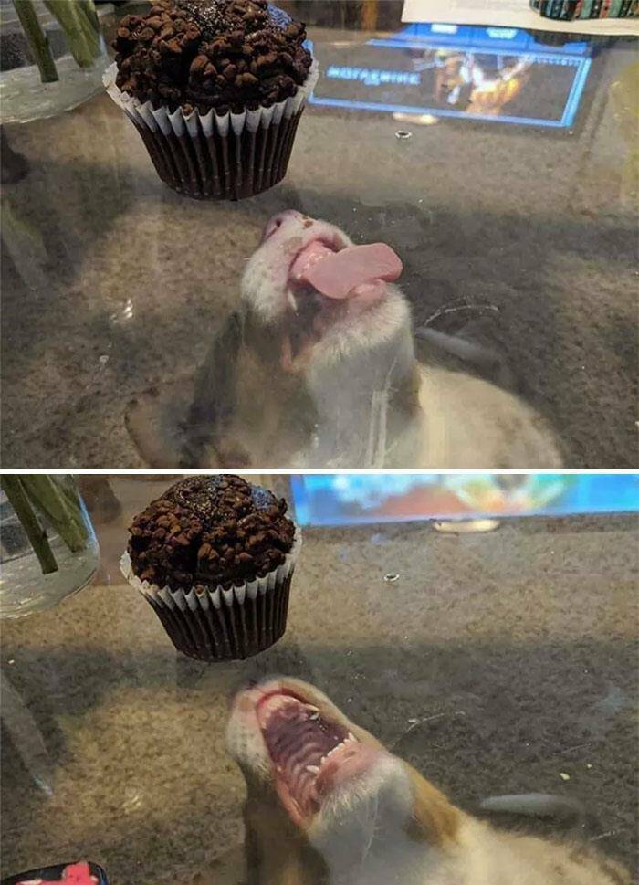 When Attempts Didnt Go As Planned