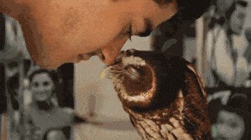 Daily Gifdump