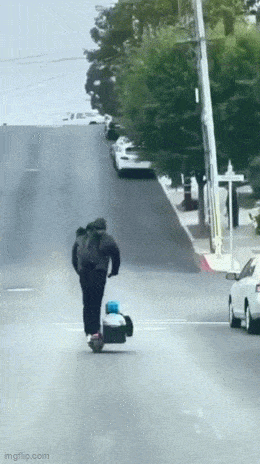 Daily Gifdump