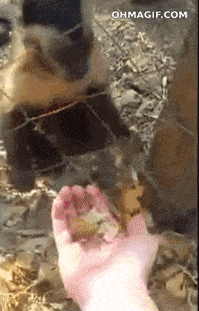 Daily Gifdump