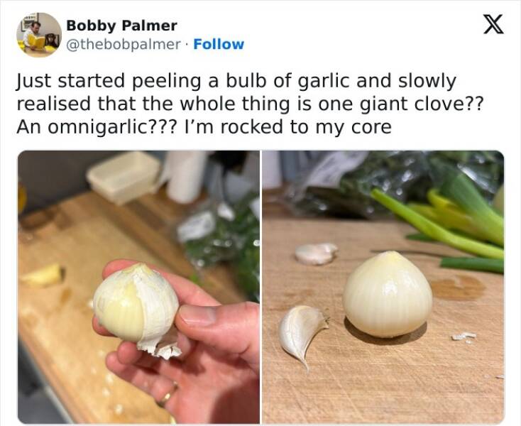 Classic British Humor In Meme Form To Crack You Up