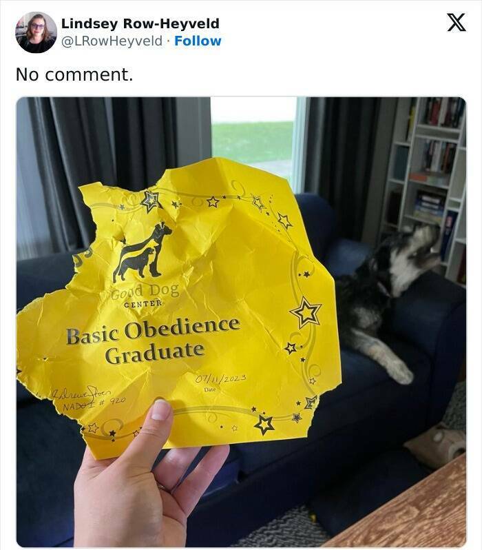 Classic British Humor In Meme Form To Crack You Up