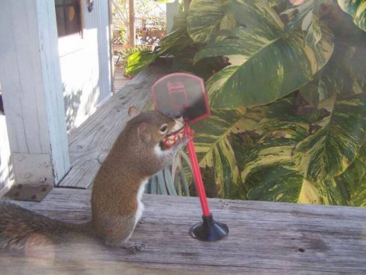 Daily Picdump