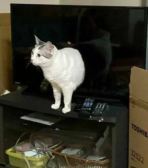 Daily Picdump