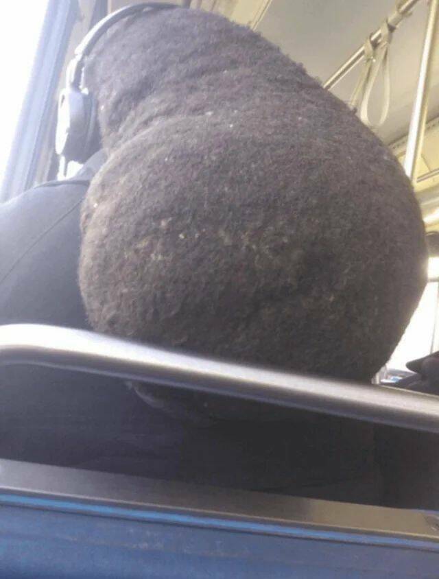 Daily Picdump