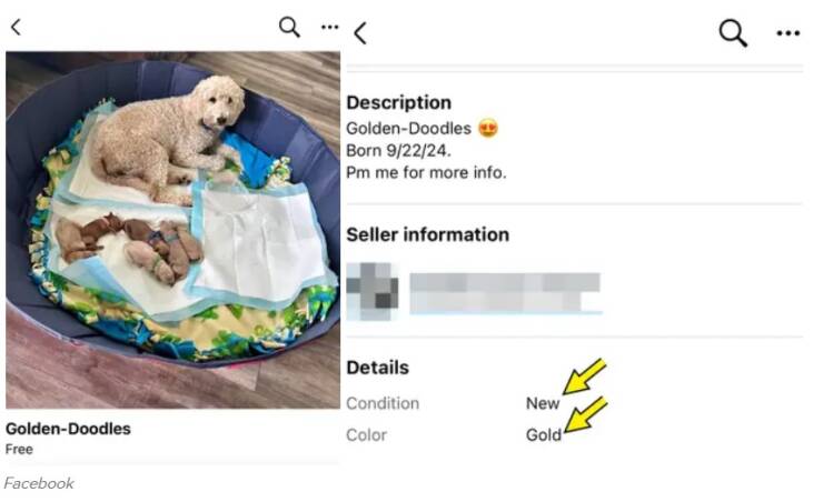 Facebook Marketplace Listings That Defy Logic