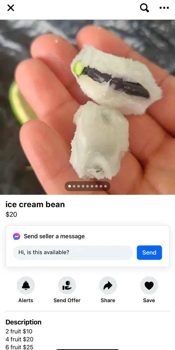 Facebook Marketplace Listings That Defy Logic