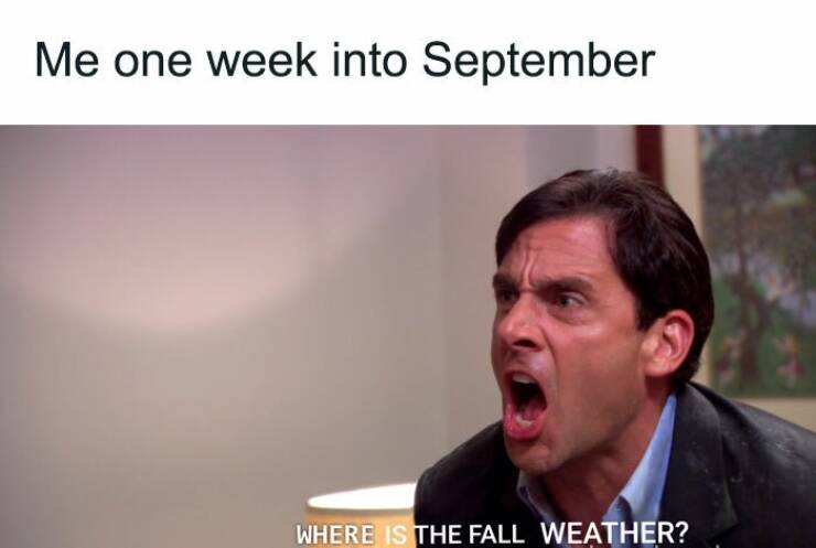 Fall Memes That Embrace Autumn’s Vibes